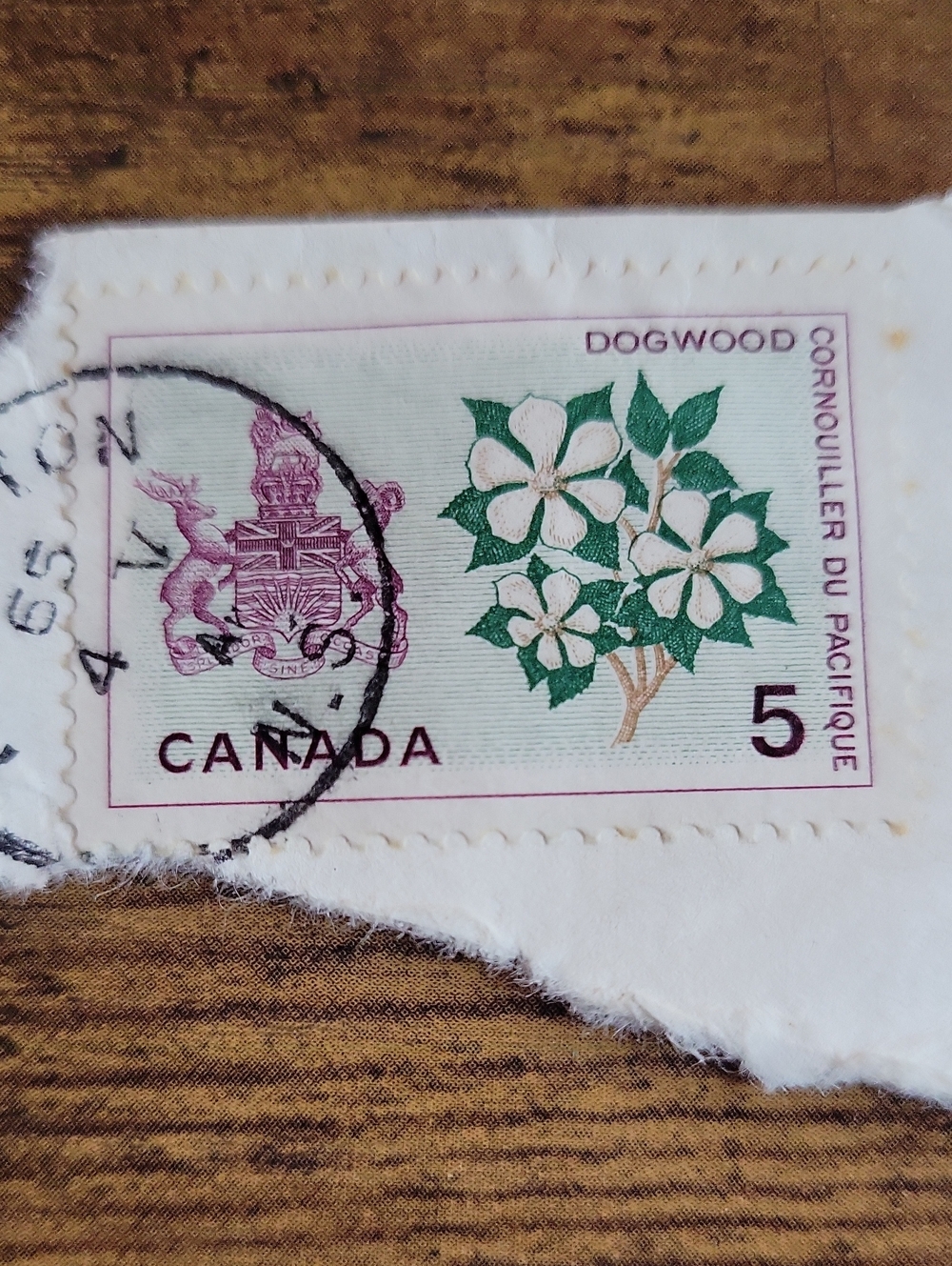 Vintage Canada Dogwood Floral Stamp Accessory – White & Green